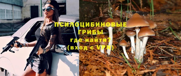 Альфа ПВП Армянск